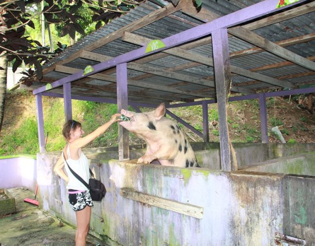 m_Susie with beer drinking pig