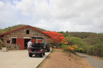 m_Culebra Museum and Golf Cart