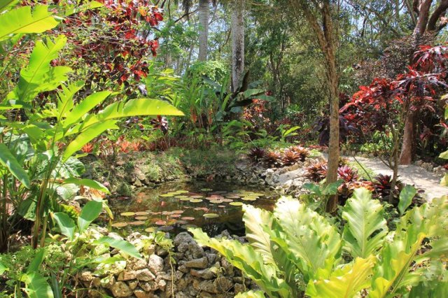 m_Botanical gardens5