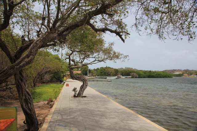 m_Catalina boardwalk