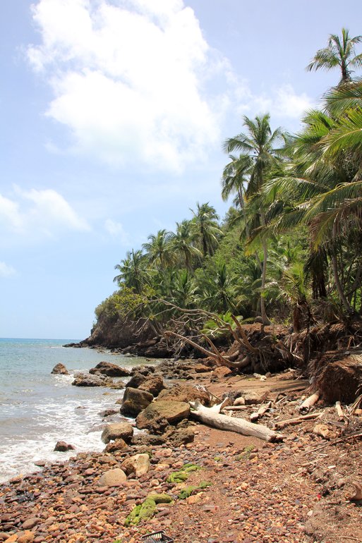 m_Beach Santa Catalina4