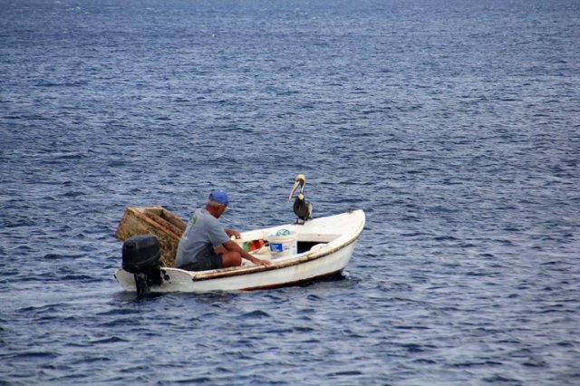 m_Pelican on fishing boat