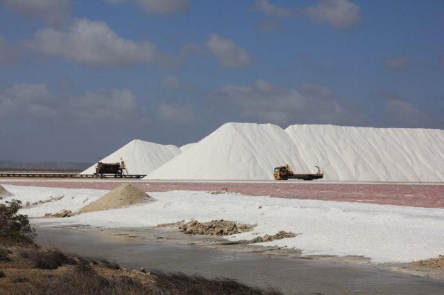 m_Salt works2