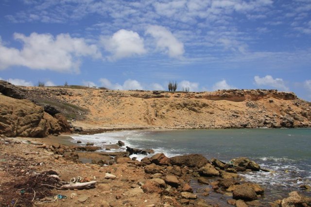 m_Small bay east coast