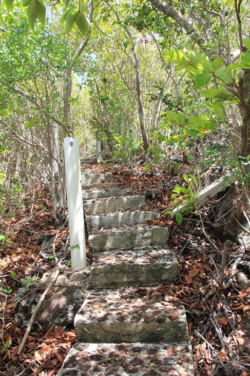 m_Steps to Escobars house