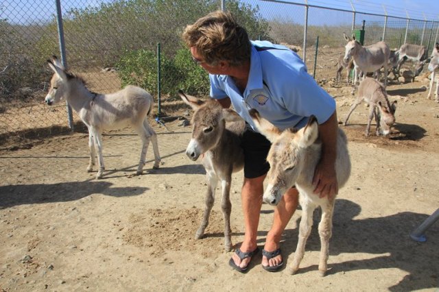 m_Steve makes friends