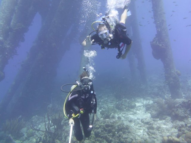 m_Susie &amp; Jez Dive