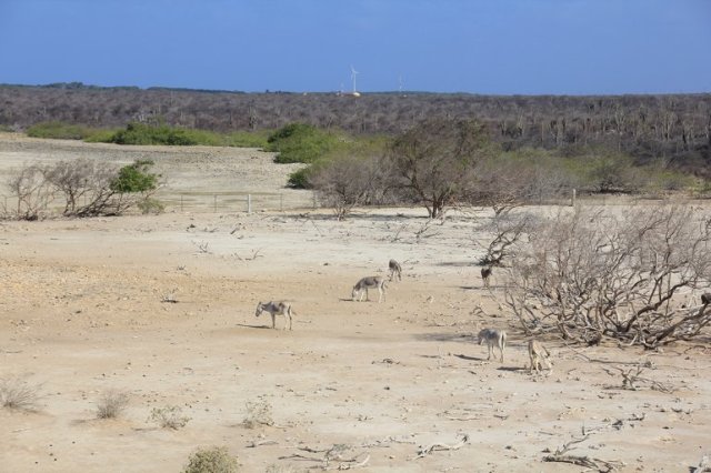 m_View from lookout tower