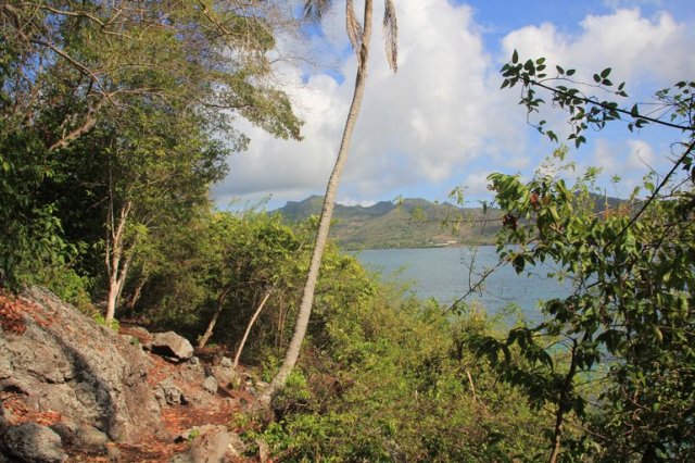 m_View from Santa Catalina