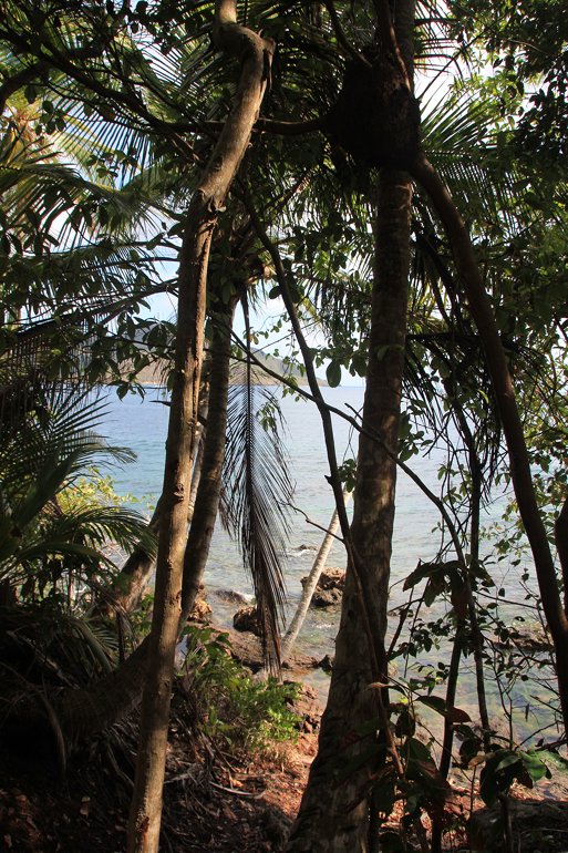 m_View from Santa Catalina2