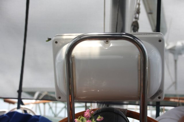 m_Bee making a nest in Raymarine cover