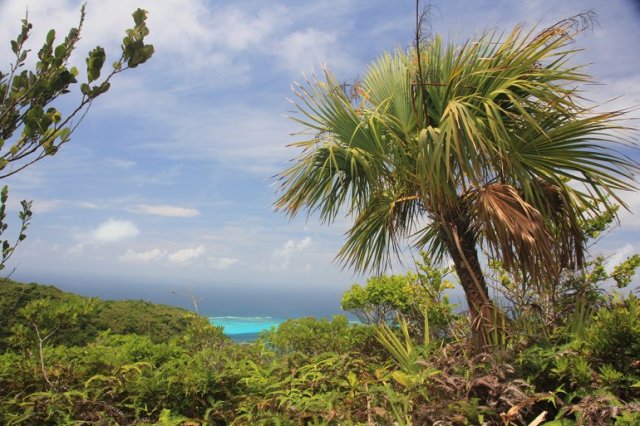 m_Nearly at the top2