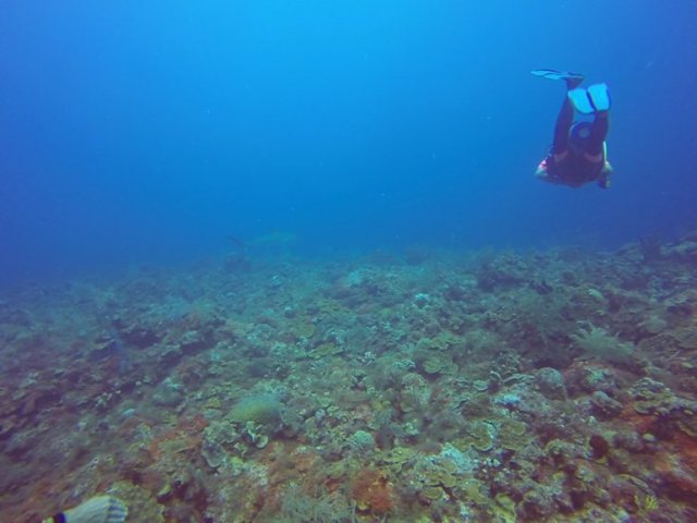 m_Over the reef
