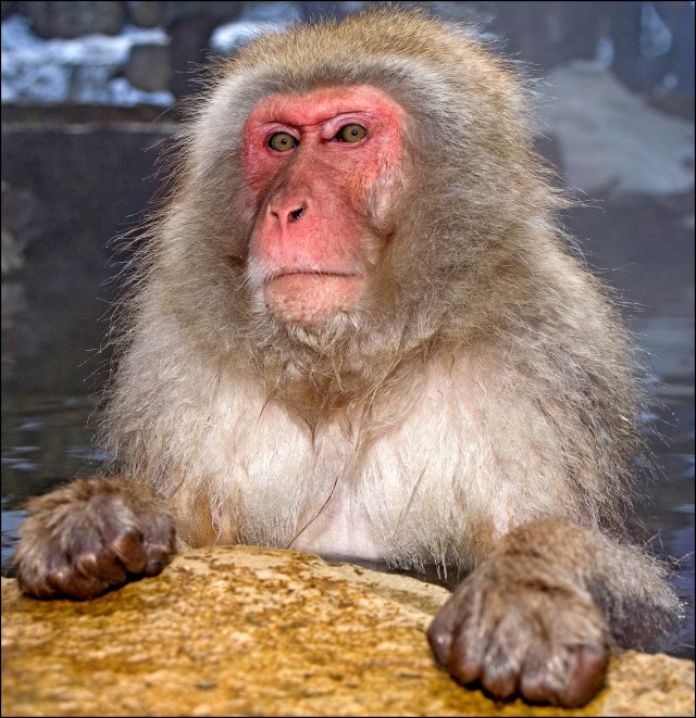 5683 sm shall I get out now.jpg