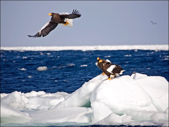 9063-just-after-take-off