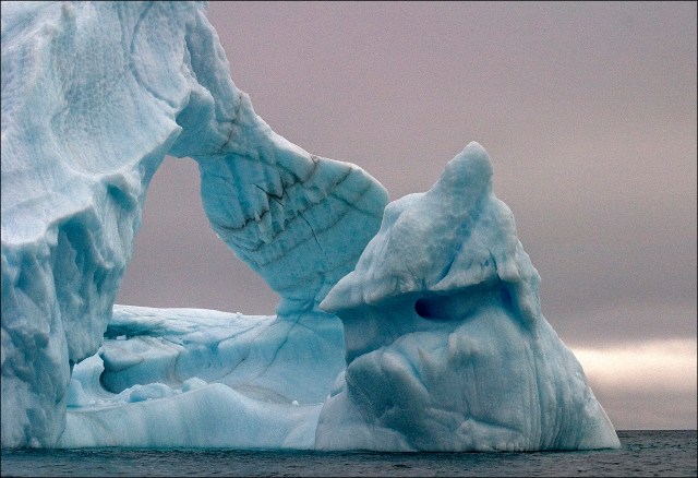 4642-berg-to-add-bird