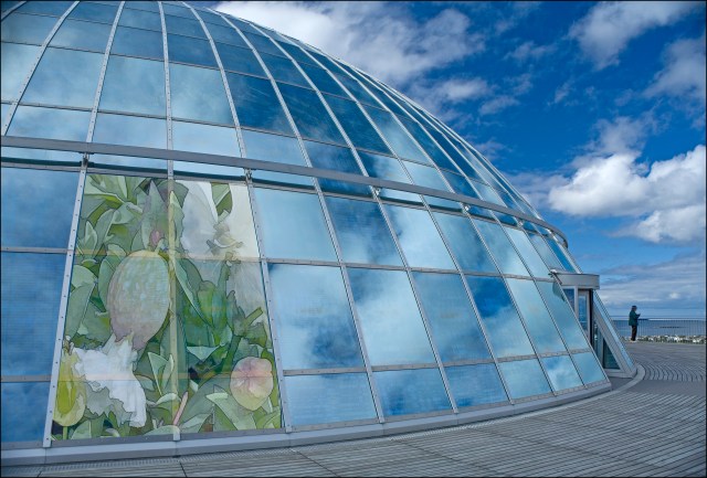 5116-the-pearl-and-icelandic-poppy