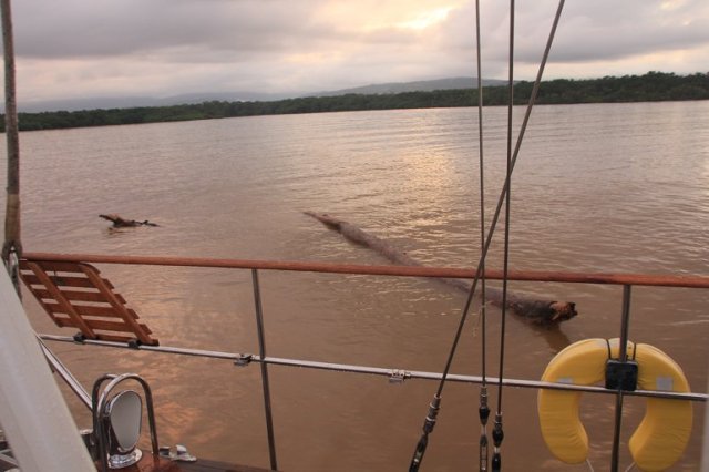 m_debris-in-anchorage