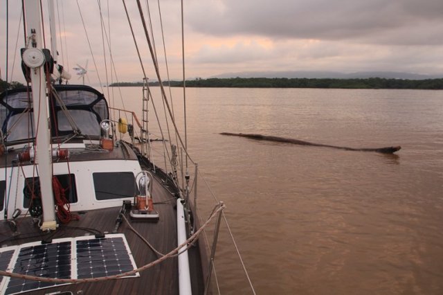 m_debris-in-anchorage2