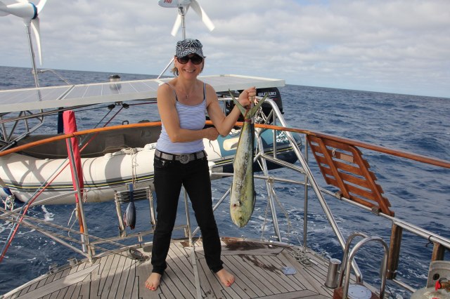 Mahi Mahi Mexico Coast-squashed