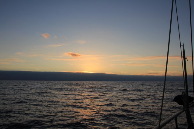 Storm following-squashed