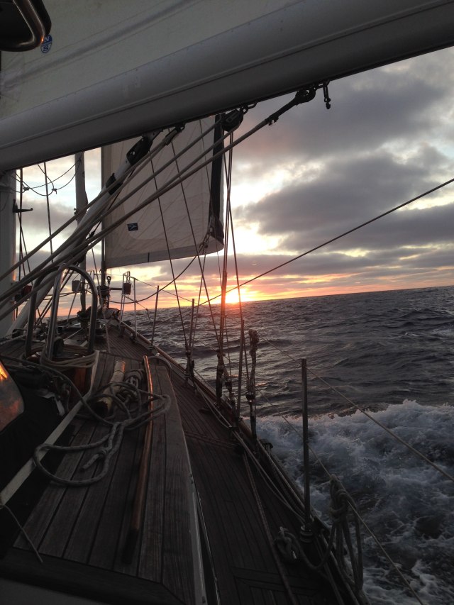 Sunset sailing from San Fran-squashed