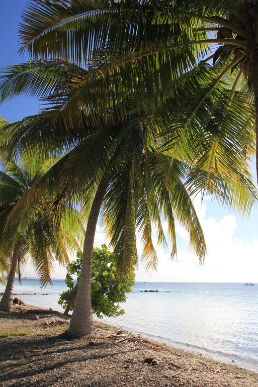 m_Fakarava Tetamanu beach