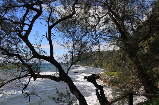 Tahiti East Coast 2-squashed