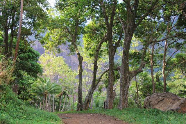 Track to waterfall-squashed