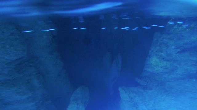 Swallows Cave underwater-squashed