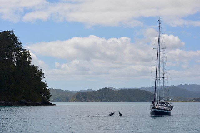 PHOTO-2019-11-15-10-23-09