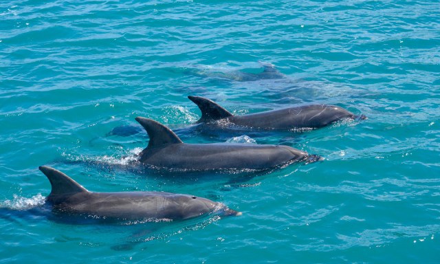 PHOTO-2019-11-15-10-23-10